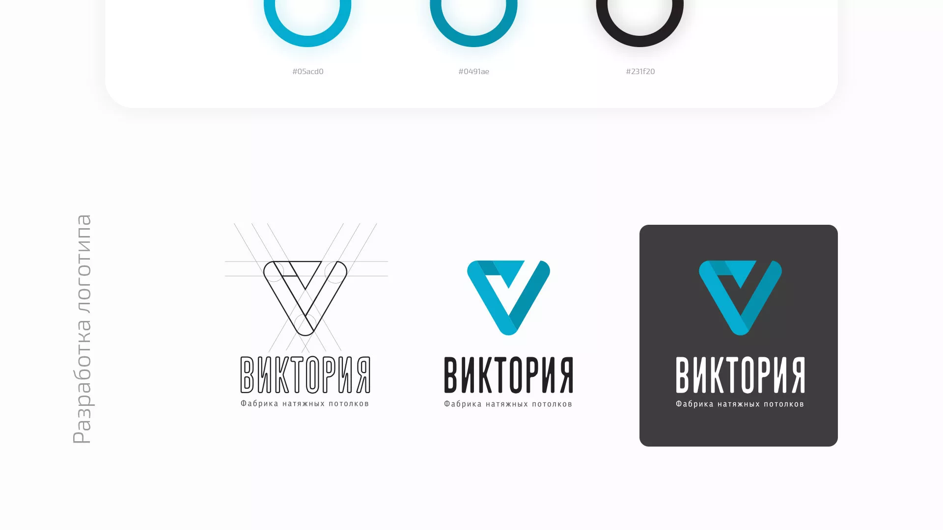 Разработка фирменного стиля компании по продаже и установке натяжных потолков в Барнауле