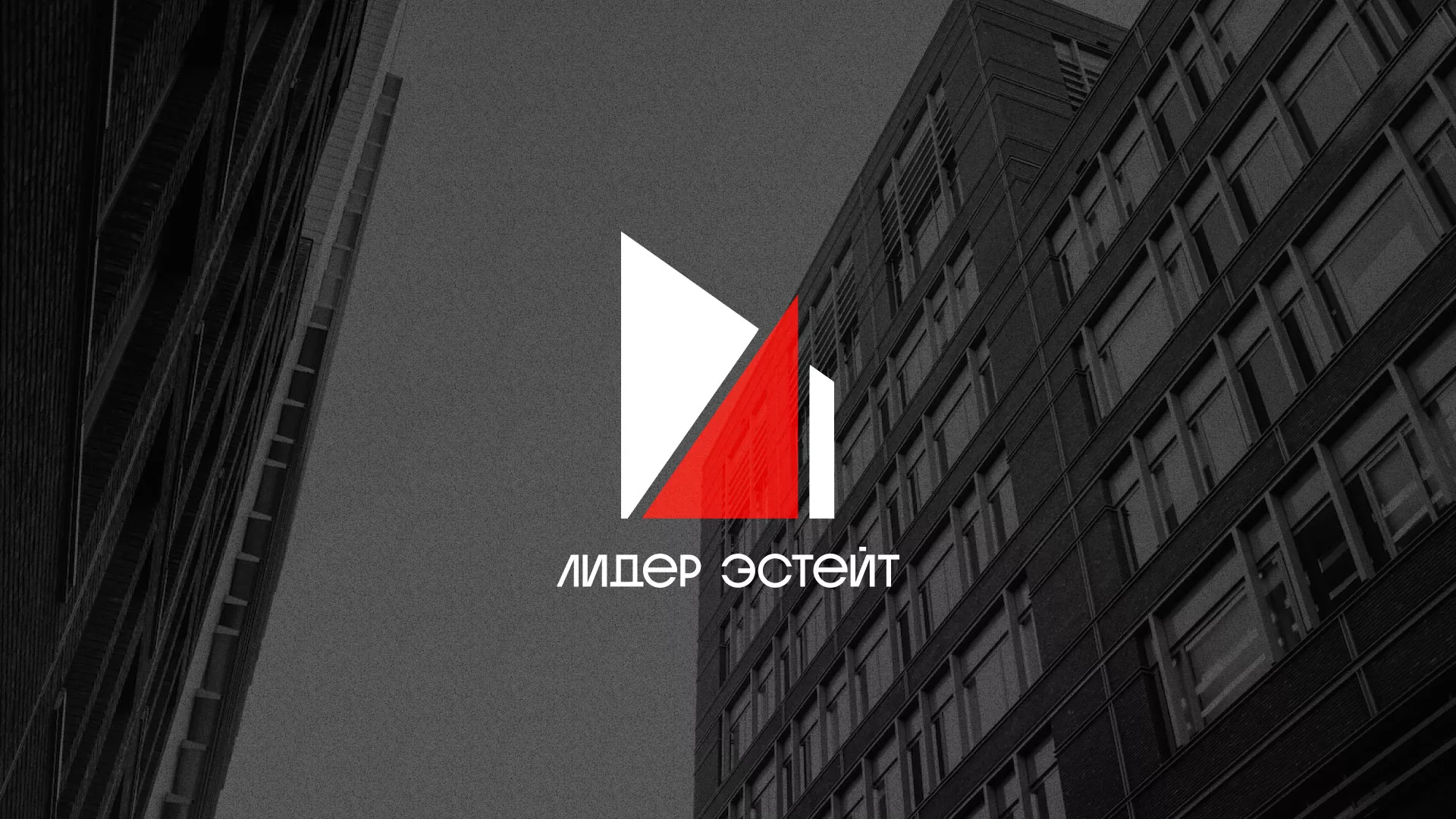 Сделали логотип для агентства недвижимости «Лидер Эстейт» в Барнауле
